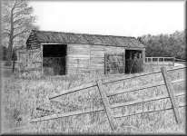 A Pencil drawing of an old shed in a field