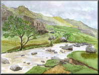 A watercolour painting of a tree by a stream