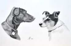 A pencil drawing of my two dogs