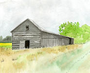 A Pen & Wash painting of an ancient wooden barn