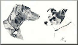 A Pencil drawing of my two dogs