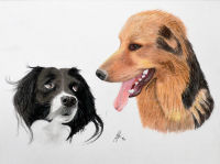 A pastel painting of two dogs