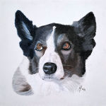 A pastel painting of a dog