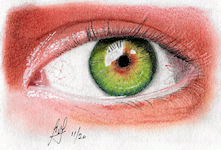 A colour Pencil painting of an Eye