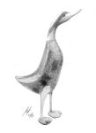 A pencil drawing of a wooden duck ornament 