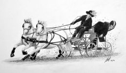 A pencil drawing of a pair of horses pulling a racing carriage