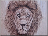 Detailed wood burning pyrography art panel of a lion by John W Johnston